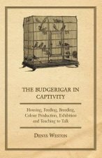 Budgerigar in Captivity - Housing, Feeding, Breeding, Colour Production, Exhibition and Teaching to Talk