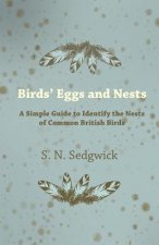 Birds' Eggs and Nests - A Simple Guide to Identify the Nests of Common British Birds