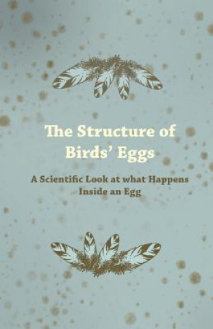Structure of Birds Eggs - A Scientific Look at What Happens Inside an Egg