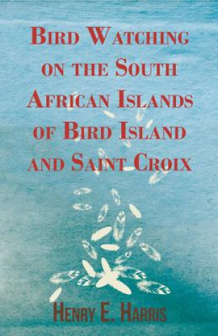 Bird Watching on the South African Islands of Bird Island and Saint Croix