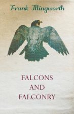 Falcons and Falconry