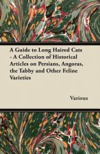 A Guide to Long Haired Cats - A Collection of Historical Articles on Persians, Angoras, the Tabby and Other Feline Varieties