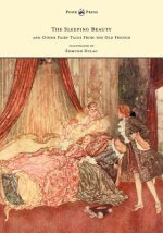 Sleeping Beauty and Other Fairy Tales from the Old French - Illustrated by Edmund Dulac