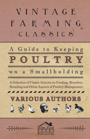 A   Guide to Keeping Poultry on a Smallholding - A Selection of Classic Articles on Feeding, Brooders, Breeding and Other Aspects of Poultry Managemen