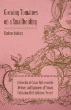 Growing Tomatoes on a Smallholding - A Selection of Classic Articles on the Methods and Equipment of Tomato Cultivation (Self-Sufficiency Series)