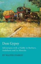 Don Gypsy - Adventures with a Fiddle in Barbary, Andalusia and La Mancha