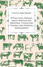 Cattle and Sheep - A Practical Manual About Breeds and Breeding, Foods and Feeding and General Management