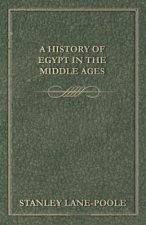 A History of Egypt in the Middle Ages