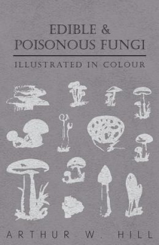 Edible and Poisonous Fungi - Illustrated in Colour