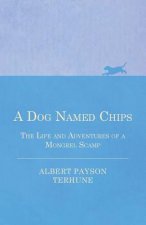 Dog Named Chips - The Life and Adventures of a Mongrel Scamp