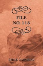 File No. 113
