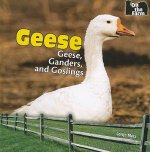 Geese: Geese, Ganders, and Goslings