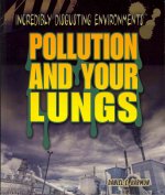 Pollution and Your Lungs