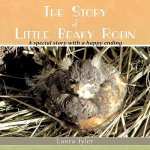 Story of Little Beaky Robin
