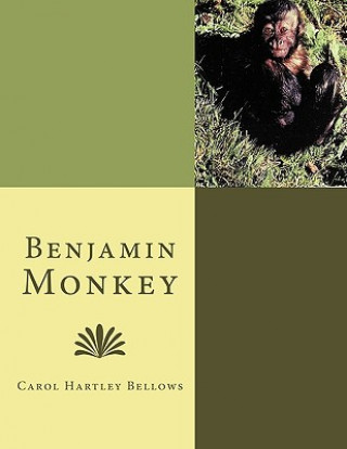 Benjamin Monkey