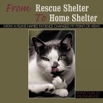 From Rescue Shelter To Home Shelter