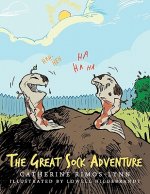 Great Sock Adventure