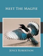 Meet The Magpie