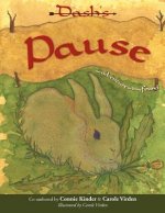 Dash's Pause