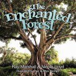Enchanted Forest