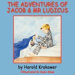 Adventures of Jacob & Mr Ludicus