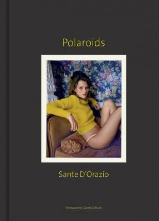 Sante D'Orazio: Polaroids (Sante D'Orazio,Glenn O'Brien)(Pevná)