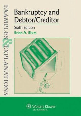 Examples & Explanations: Bankruptcy and Debtor Creditor, Sixth Edition