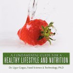 Fundamental Guide for a Healthy Lifestyle and Nutrition