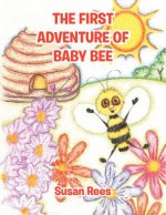 First Adventure of Baby Bee