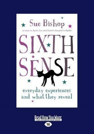 Sixth Sense: Everyday Experiences and What They Reveal (Large Print 16pt)