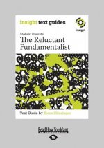 The Reluctant Fundamentalist: Insight Text Guide (Large Print 16pt)