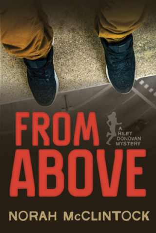 From Above: A Riley Donovan Mystery