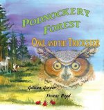 Podnockery Forest - Owl and the Trickster