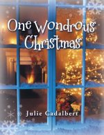 One Wondrous Christmas