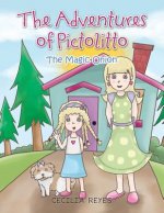 Adventures of Pictolitto
