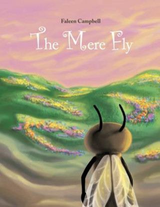 Mere Fly