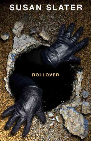 Rollover: A Dan Mahoney Mystery