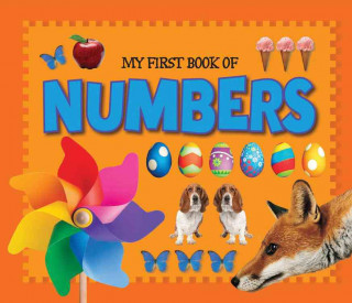 My First Book of Numbers