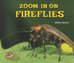 Zoom in on Fireflies