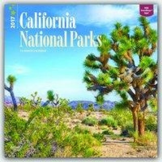 California National Parks - Kalifornische National Parks 2017 - 18-Monatskalender mit freier TravelDays-App