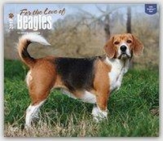 Beagles - For the Love of 2017 - 18-Monatskalender mit freier DogDays-App