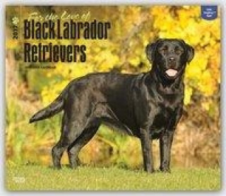 Black Labrador Retriever - For the love of - Schwarze Labradore 2017 - 18-Monatskalender mit freier DogDays-App