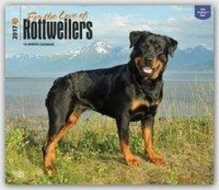 Rottweilers - For the love of - Rottweiler 2017 - 18-Monatskalender mit freier DogDays-App