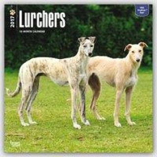 Lurchers - Lurcher 2017 - 18-Monatskalender mit freier DogDays-App