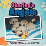 Charley's Angel