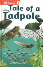 DK READERS L1 TALE OF A TADPOLE