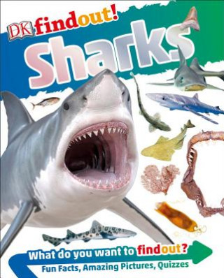 DK Findout! Sharks
