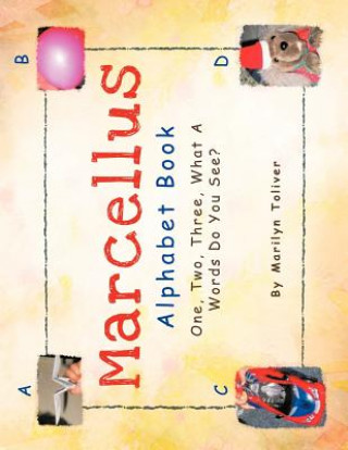 Marcellus Alphabet Book