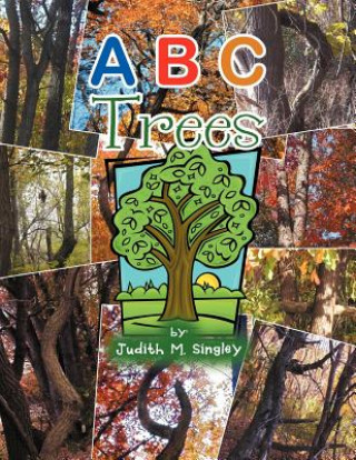 B C Trees