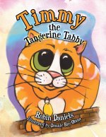 Timmy the Tangerine Tabby